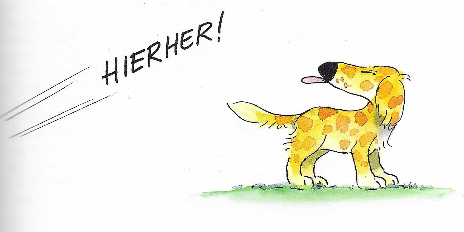 Bannerbild