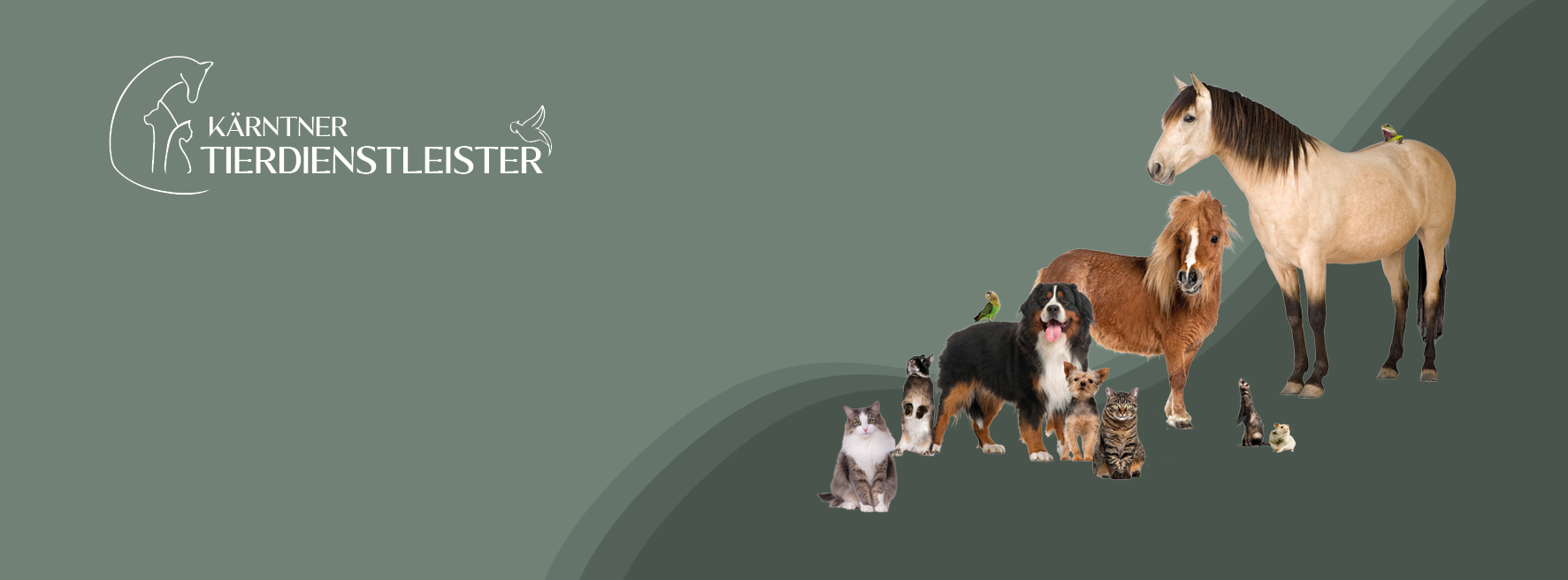 facebook-banner